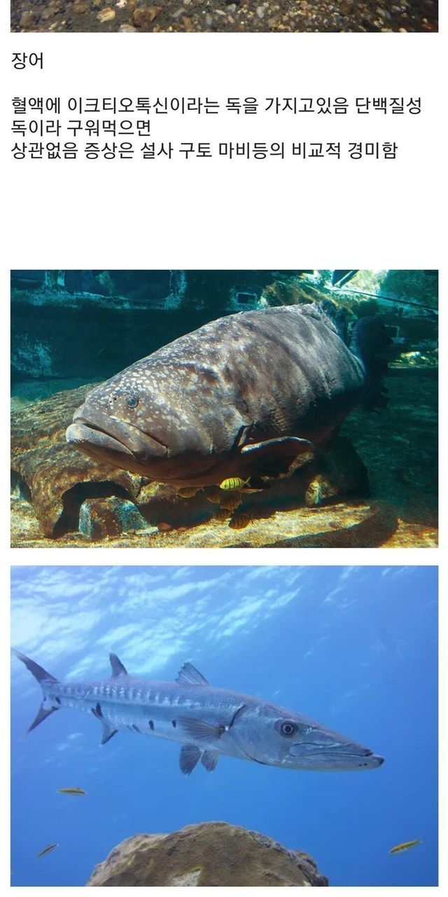 58bc1698-51c4-465e-9b48-e051d8208a7e_3.jpg?area=BODY&amp;requestKey=i7aOh15u