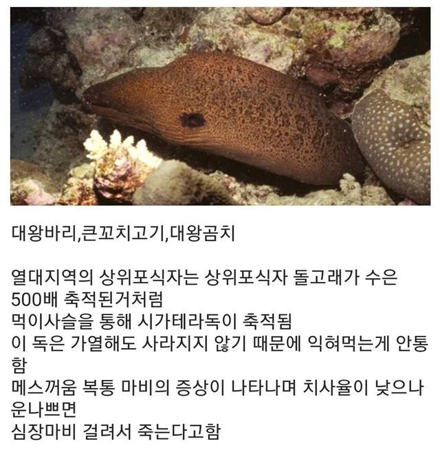 58bc1698-51c4-465e-9b48-e051d8208a7e_4.jpg?area=BODY&amp;requestKey=i7aOh15u