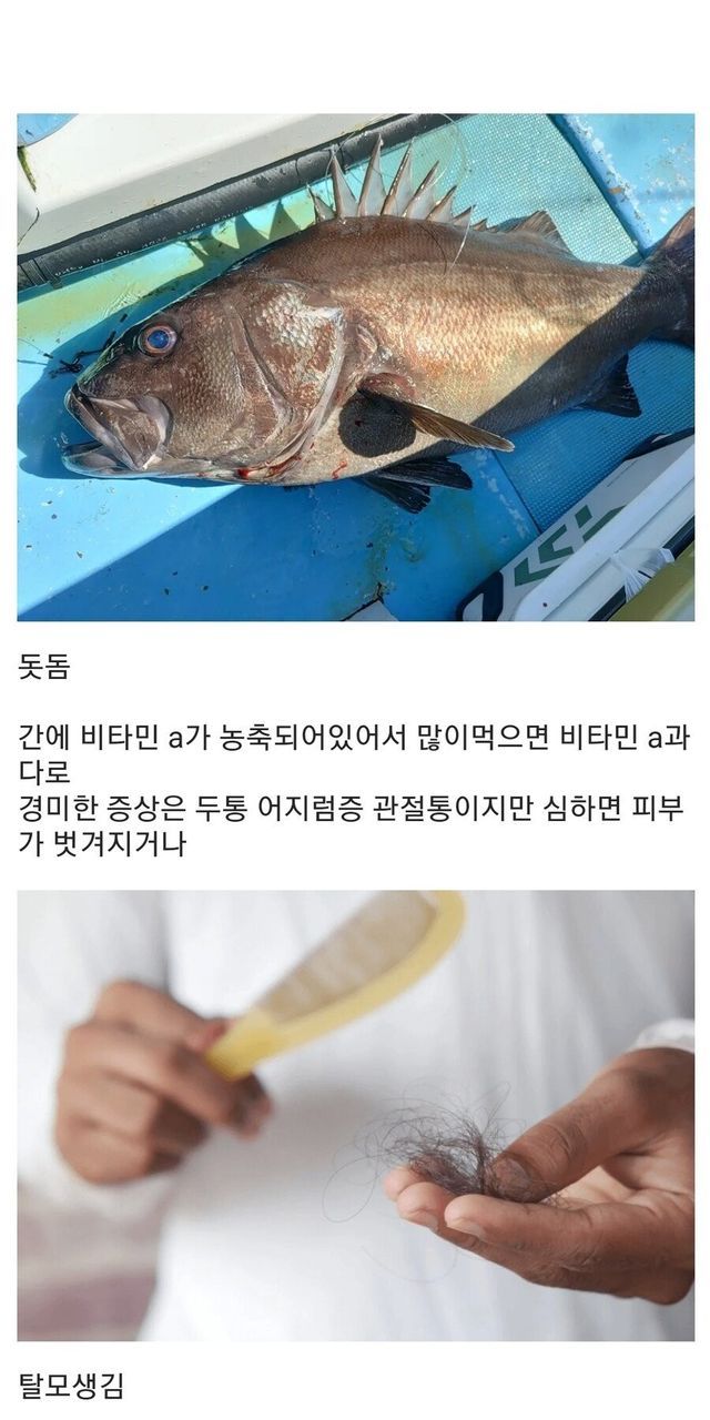 d2068619-39a6-4c40-8447-f36f3851a2e1_0.jpg?area=BODY&amp;requestKey=i7aOh15u