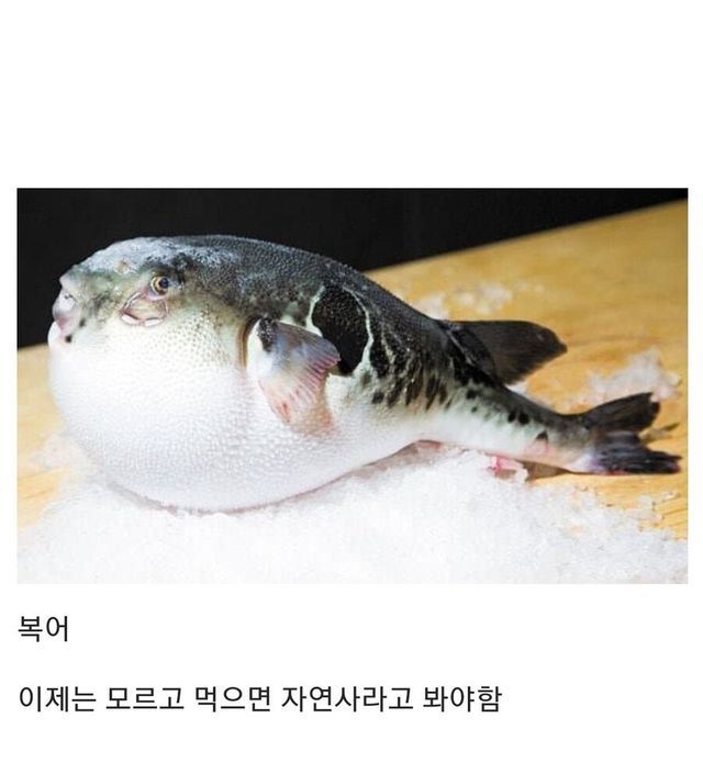 d2068619-39a6-4c40-8447-f36f3851a2e1_1.jpg?area=BODY&amp;requestKey=i7aOh15u