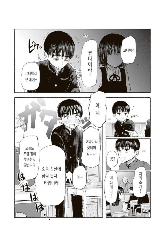 bteed4d0ace714c9c4e60cc7085ed52085.jpg