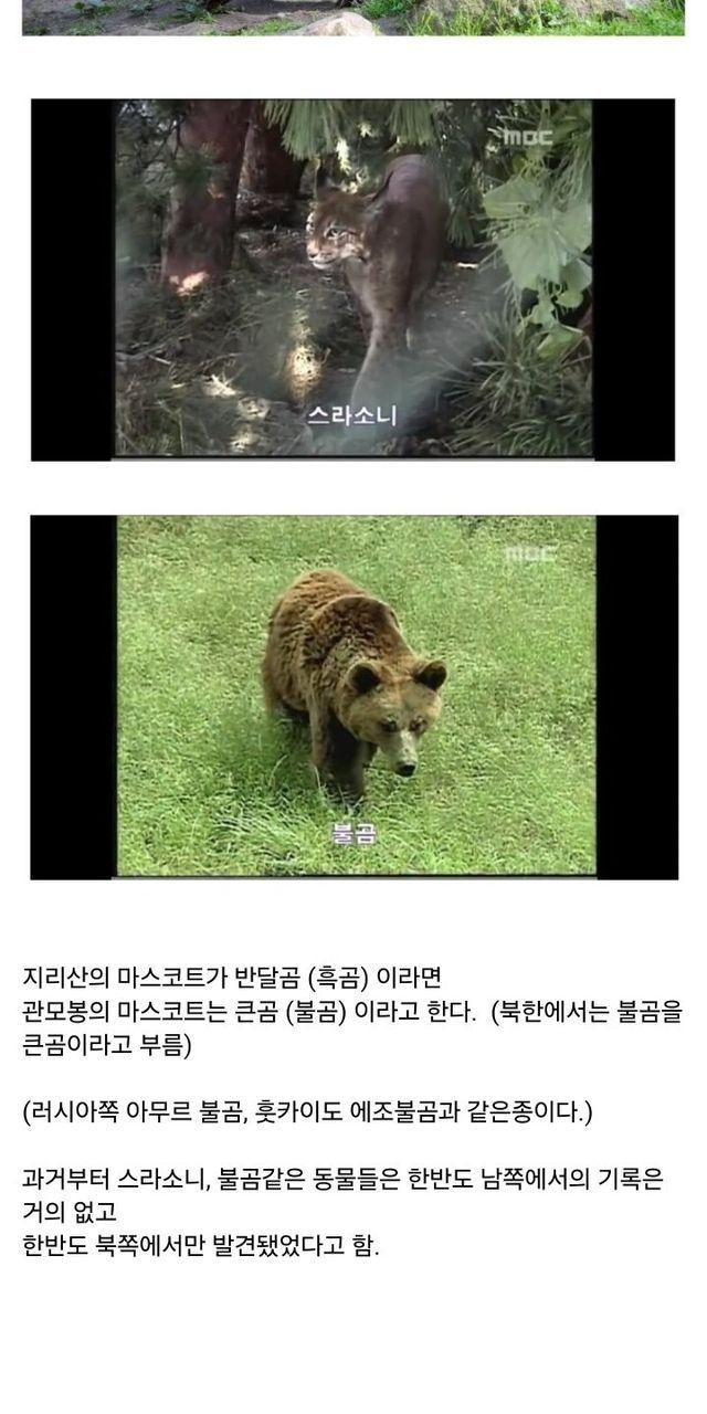 36d192bd-9253-4768-ae13-ded45f108d1f_4.jpg?area=BODY&requestKey=i7aOh15u