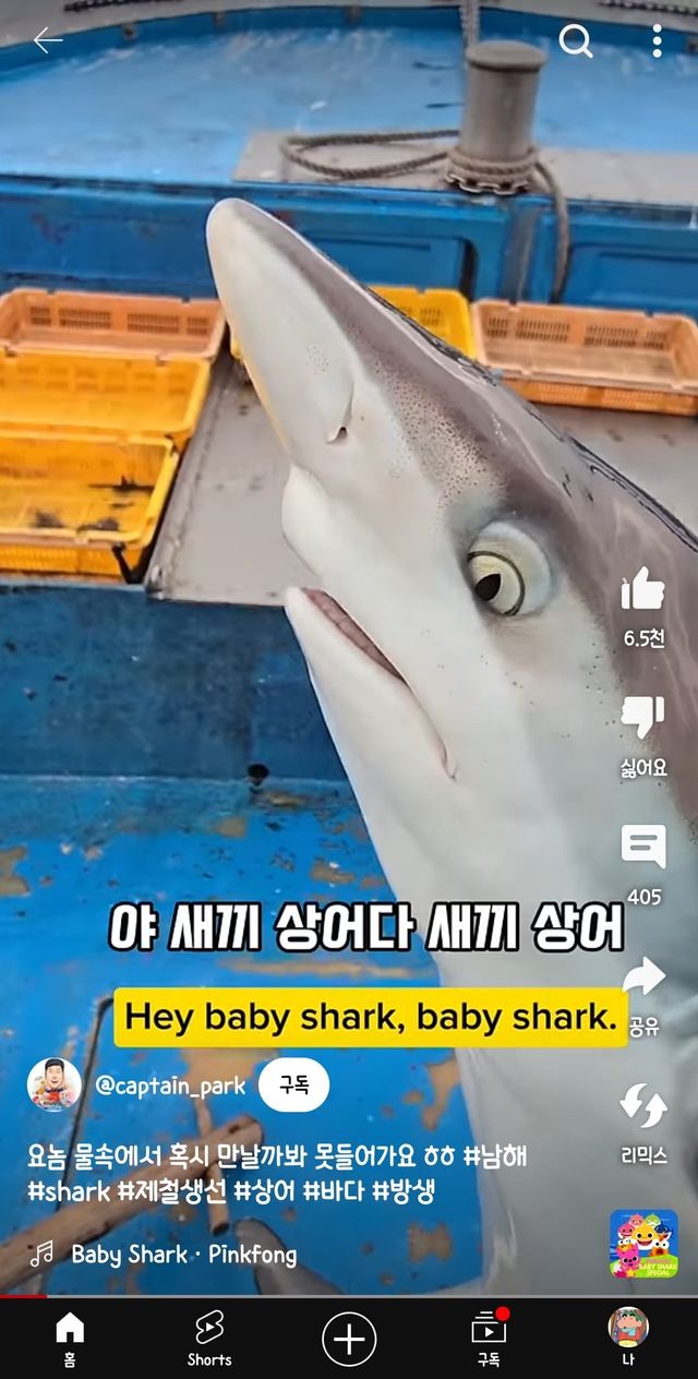 bt4de6fa1e7768638743ef8d042daa4e89.jpg
