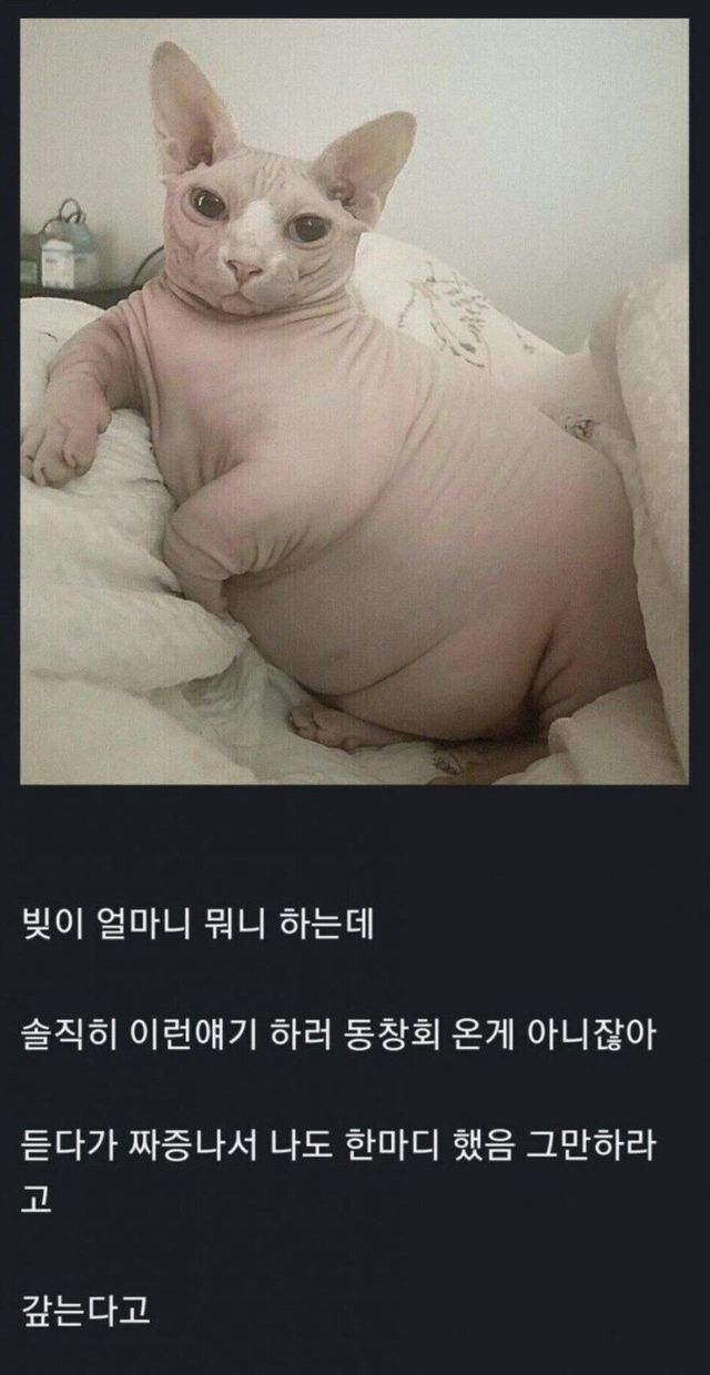 bt4454816416e7302e3fe6fb5aafd5be01.jpg