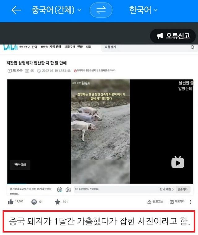 bt0079a5ebc2e5eb3d3c559811e871f140.jpeg