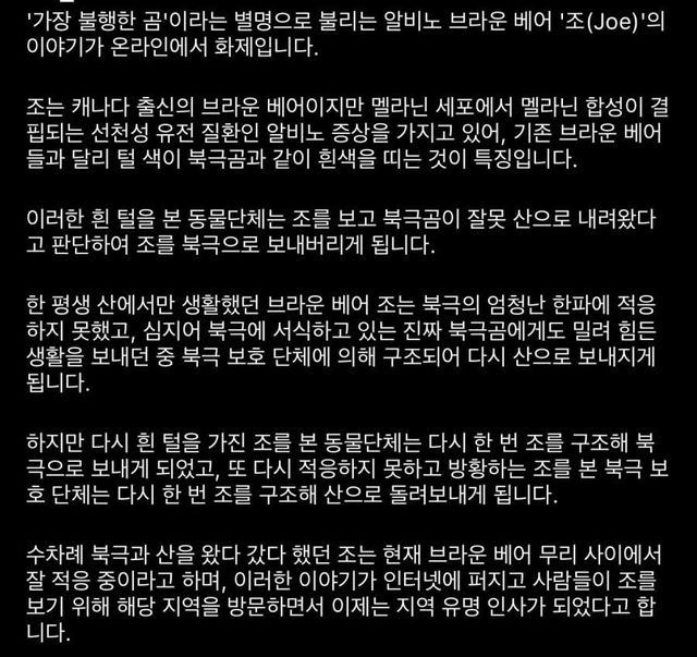 bt29e46f8fef5a6b3f09ad2b34f09278b5.jpeg