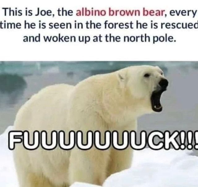 btec286d16b0ef966a0d46985bc955344a.jpeg
