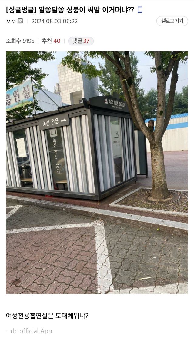 bt20ada57f0ac9457f7adf24ca988cf6b8.jpeg