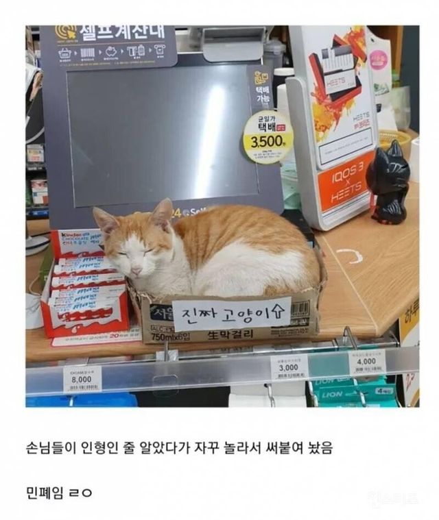 16654036558655.jpeg