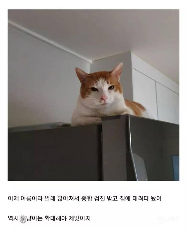 16654036583555.jpeg