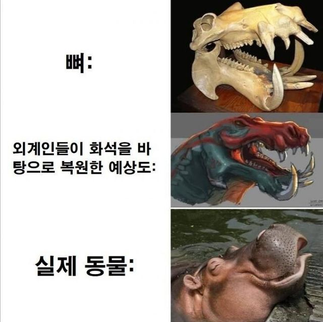 16769434659931.jpeg