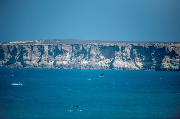 헤드 오브 바이트 [출처 =남호주 관광청]