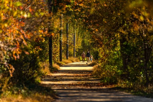여의도공원 단풍 [사진=서울관광재단]