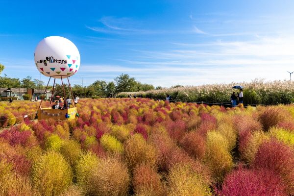 하늘공원 열기구 모형 [사진=서울관광재단]
