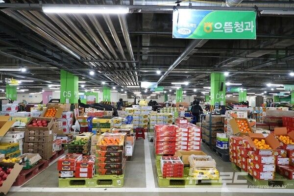 폭설로 붕괴 후 지난 4일 지하주차장에 마련된 농수산물도매시장 청과동 임시점포 모습./사진=안양시