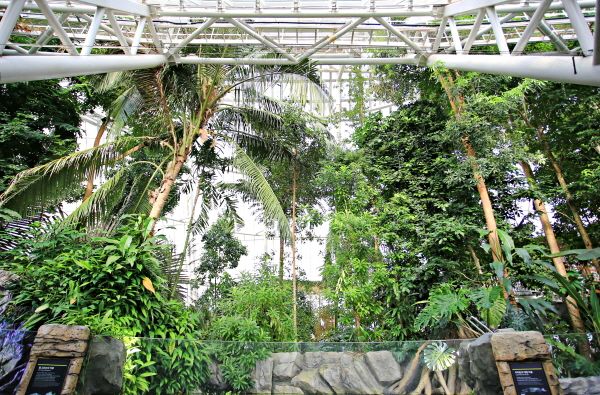 한겨울에 만나는 초록빛 세상. [사진=한국관광공사. 김수진 작가 촬영]