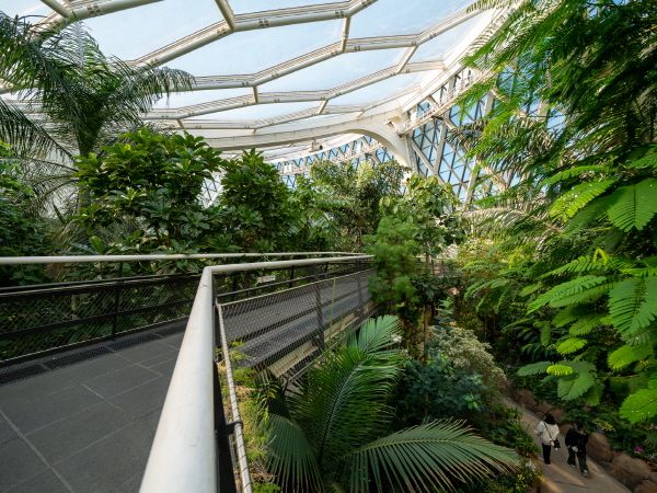 스카이워크를 걸으며 키 큰 나무를 눈높이에서 바라볼 수 있다. [사진=한국관광공사. 박산하 작가 촬영]