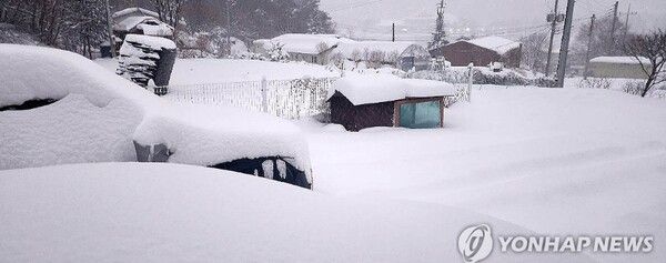 폭설에 또 폭설 내린 횡성 안흥/연합뉴스