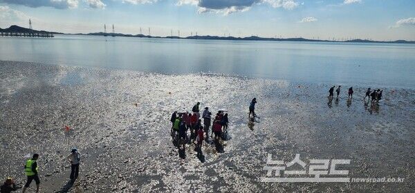 ‘2025 시화호 갯벌 맨발걷기 페스타’가 400여 명의 시민이 참여한 가운데 거북섬 해안 갯벌을 걷고 있다./사진=임병택 시장 페이스북&nbsp;