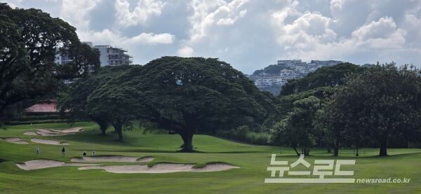 클락 미모사GC [사진=서진수기자]