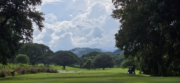 클락 미모사GC [사진=서진수기자]