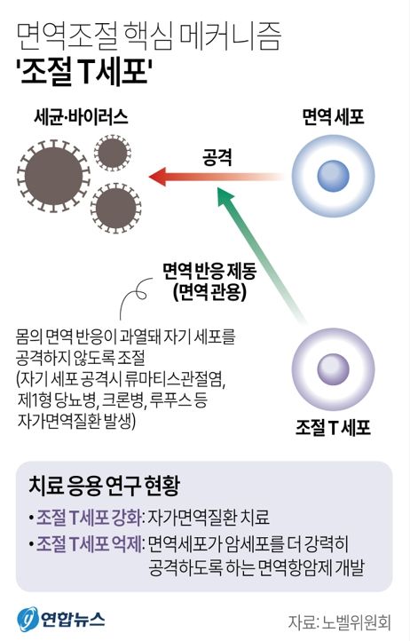 사진/연합뉴스