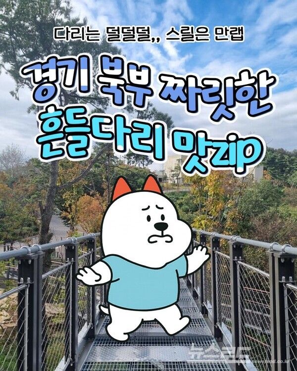 경기관광공사 DMZ 인스타그램, 대표캐릭터 누리 콘텐츠/사진=경기관광공사