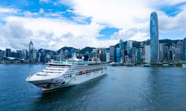 스타 드림크루즈 [출처=에스마케팅]