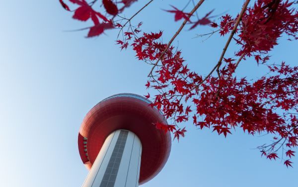 예당호전망대_사과 모양의 전망대와 단풍이 어우러진 가을 풍경 [출처=한국관광공사]