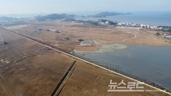 762만평 규모 대송단지 간척지 전경/사진=안산시
