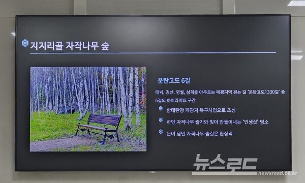 태백산자락 '지지리골'에 조성된 자작나무 군락지의 소개가 이어져 큰 관심을 끌었다. [사진=서진수기자]