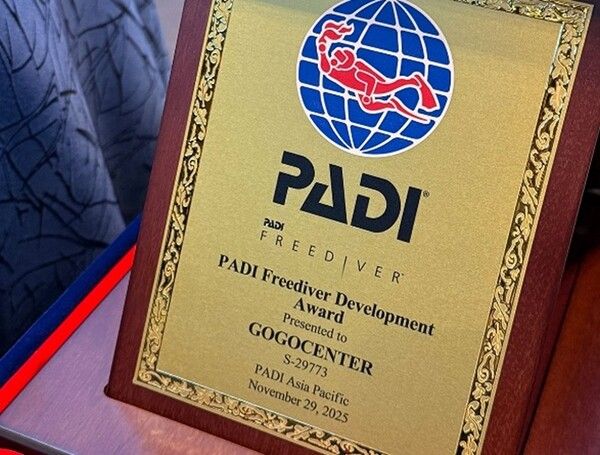 고고다이브 제공
