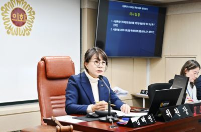 김혜영 의료관광특위 위원장 [출처=서울시의회]