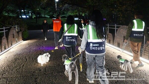 수원시 반려견 순찰대가 장안구 송죽동 주택밀집지역에서&nbsp;수원 중부경찰서와 함께 합동 순찰을 하고 있다.