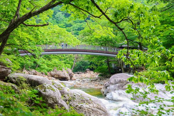 여름_대원사 계곡길 [사진=산청군]