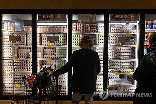 25일(현지시간) 미국 뉴욕의 한 마트에서 계란 가격 살피는 소비자/연합뉴스