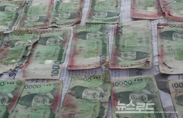 습기로 인행 손상된 화폐 [사진=한국은행]