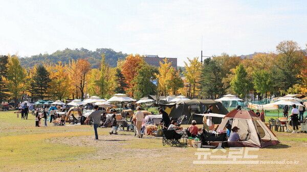 지난 2024년 11월 과천시에서 열린 ‘음악과 함께 하는 가을 캠프닉’ 모습/사진=과천시
