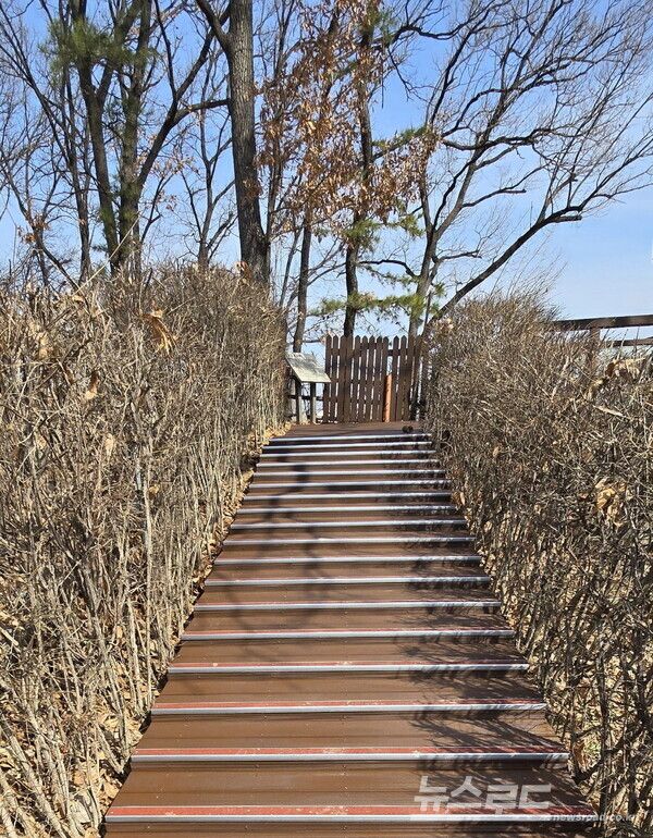 시흥시 연꽃테마파크 전망대 진입로 덱 설치 모습/사진=시흥시