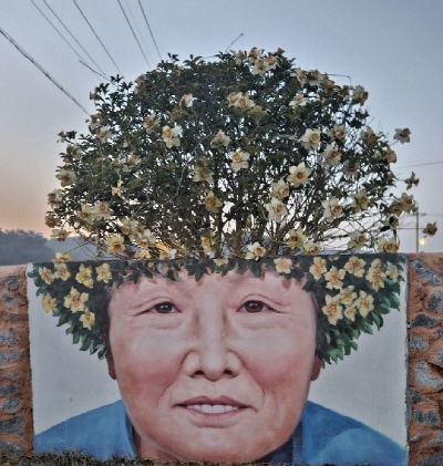 수선화 꽃밭을 일군 고 현복순 할머니. 사진= 선도 주민 박란희씨 제공