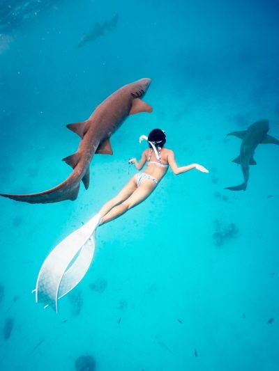 &nbsp;프리 다이빙 수중 샷 [사진=하나투어]