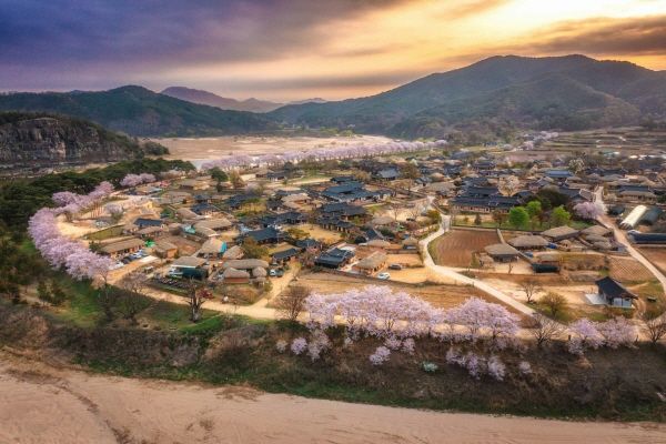 [한국관광공사] 안동 하회마을의 봄