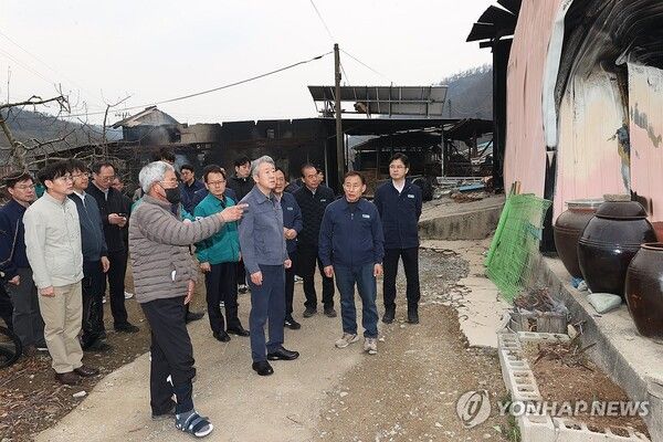 강호동 농협중앙회장, 경북 산불 피해현장 방문/연합뉴스