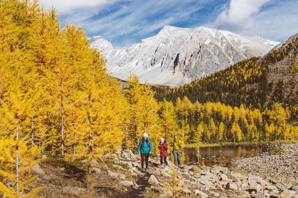 알버타 주 카나나스키스 ©Travel Alberta _ AV Wakefield