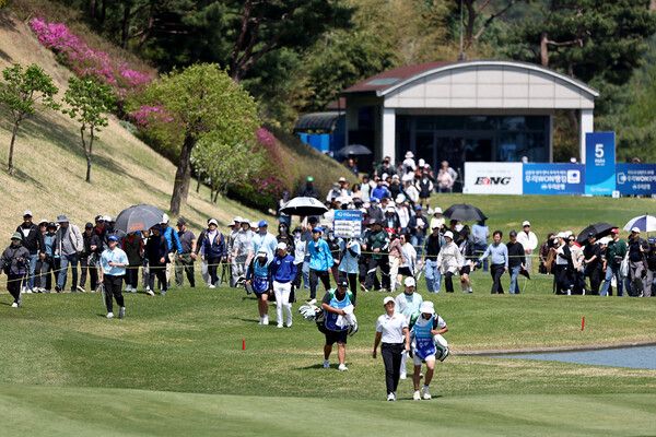 5번홀 갤러리 전경 /사진제공 KPGA