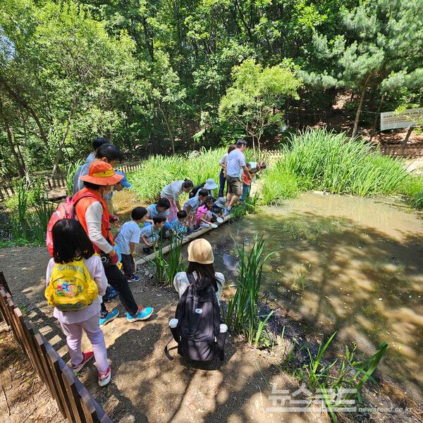가족 단위 체험행사인 ‘환경 기행 주말 탐사반’이 판교생태공원에서 식물과 곤충을 관찰하고 있다./사진=성남시