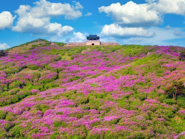 산청 황매산 [사진=산청군]