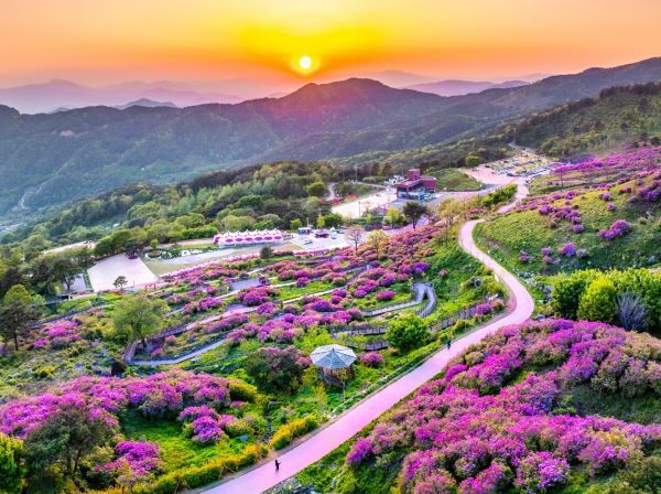 산청 황매산 [사진=산청군]