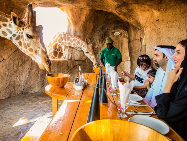 [출처=아부다비관광청 한국사무소]