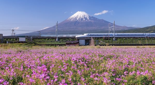 [출처=시즈오카 관광청]다시배낭_일본 기차 종단 8일 여행 상품 이미지